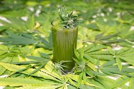 Hemp Juice Market Share