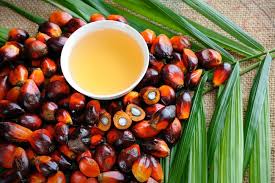 Sustainable Palm Oil Market Size