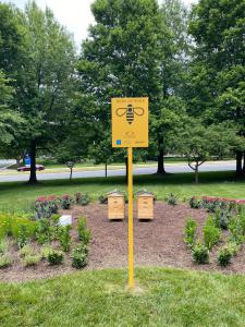 Pollinator Garden at Rock Springs Business Park in Bethesda, MD
