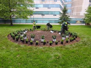 Installing the pollinator garden