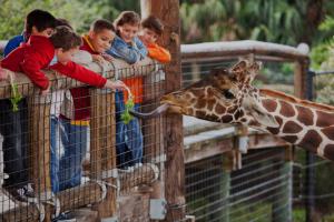 Zoo Content for Families