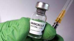 Varicella Virus Vaccine Market
