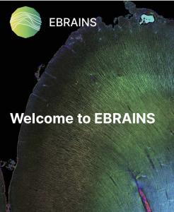 EBRAINS website
