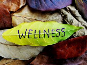 employee health and wellness