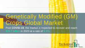 Genetically Modified (GM) Crops Market Report