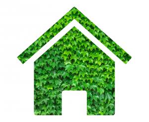 £3billion green home grant