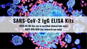 Image of SARS-CoV-2 viruses surrounding a target cell.  Image includes catalog numbers for ordering ELISA kit for detection of human IgG