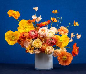 yellow flowers with blue background