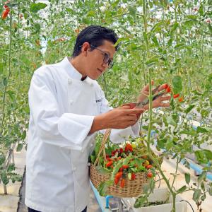 Executive Chef Pisith Theam at The Organic Farm