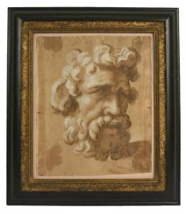 School of Annibale Carracci, Mixed Media on Paper, Study of a Head