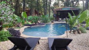 Backyard Oasis from Texoma Pools for a much-needed COVID-19 break