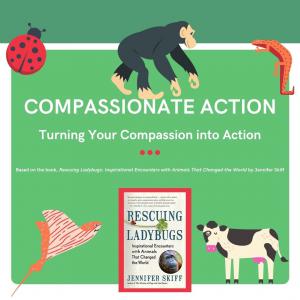 Jennifer Skiff | Rescuing Ladybugs