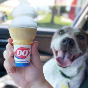 Earn free Dairy Queen in Texas for not teching and driving