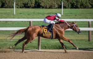 Horseracing Integrity and Safety Act Upgrade and Record-Breaking Horse Protection Act Funding Headed to Biden’s Desk