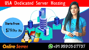 USA Dedicated Server Hosting