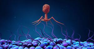 Bacteriophage Treatment Market Size