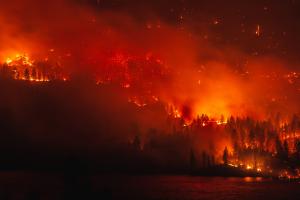 Northwest Advanced BioFuels Forest Fires United States