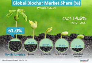 Biochar Market Size