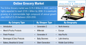 Online Grocery Market