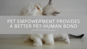 Brittany Golden Ballwin