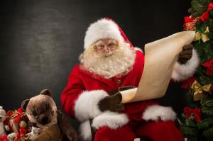 Santa reading list 