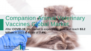 Companion Animal Veterinary Vaccines Market Report 2020-30: Covid 19 Growth And Change