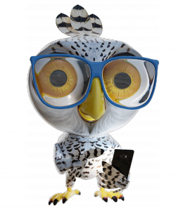 Martti S. (Aka Smartti) is a snowy owl who is looking for a sustainable place to live.