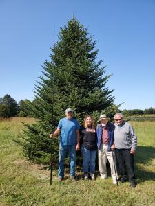 This magnificent Fraser Fir was selected for the Blue Room.