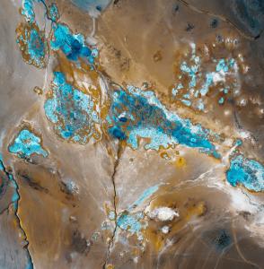 The Icelandic Life Sciences Ecosystem - Small Nation - Big Ideas, Nov. 9