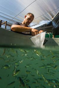 Credit: Hubbs-SeaWorld Research Institute