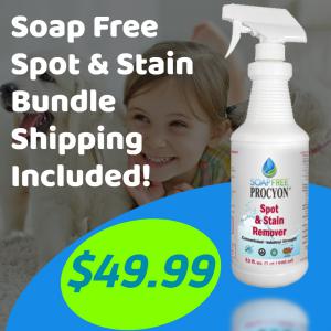 Spot & Stain Bundle: Spot & Stain Remover (Available only in the Continental United States)