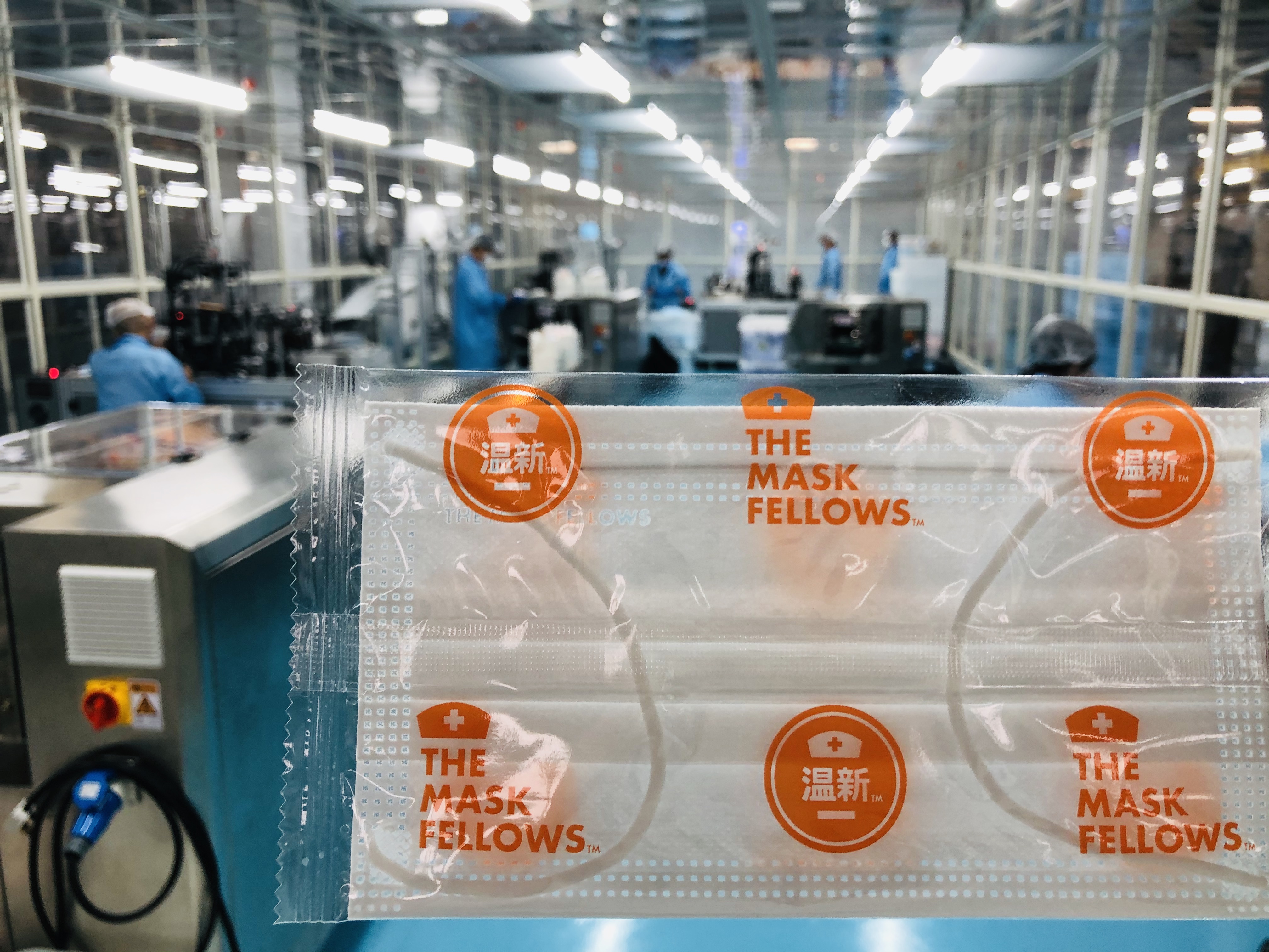 The Mask Fellows Individually Wrapped Surgical Mask