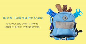 MyBoneBag Backpack Harness