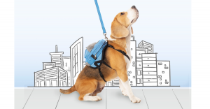 MyBoneBag Backpack Harness