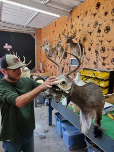 Will Brasseux, Dallas Taxidermy