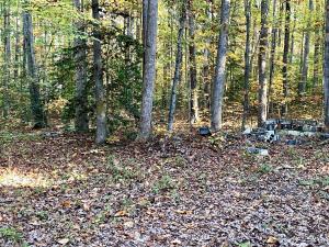 The property includes 55.16± acres, zoned R-1, with 1,000±’ of frontage on Smith Station Road in the heart of Spotsylvania County VA with a 3 bedroom 1 bathroom two story 1,560± sq. ft. home