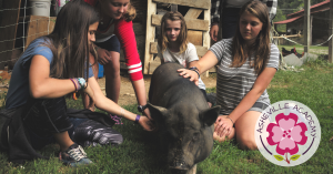 Animal Therapy, Asheville Academy