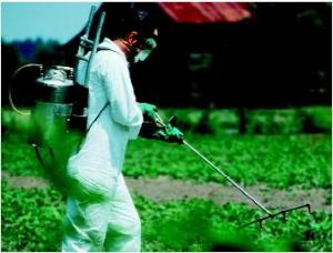 Nanopesticide Market