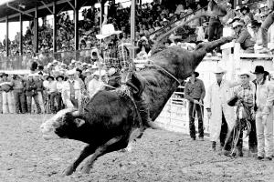 World Champion bull rider Lane Frost Last Ride photography by Randy Wagner
