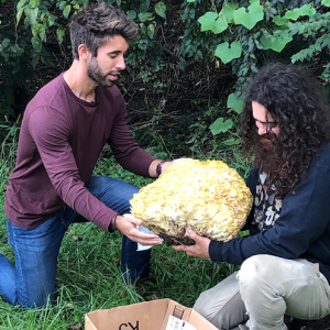 Rooted Host Nick with Mushroom Forager Tug de Luce