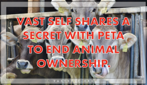 Vast Self shares a secret with Peta to end animal ownership.