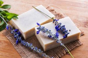 Essential Oil Soap Market