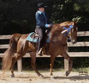 Photo of Tammy Bledsoe, Carl Bledsoe Horsemanship