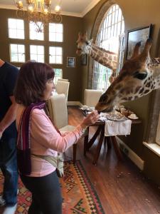 Rozanne hand feeds giraffe's