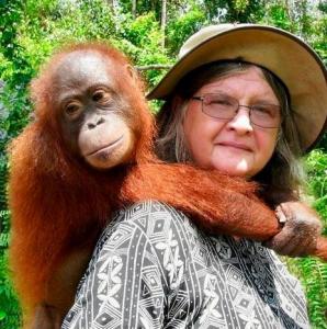 Dr Birute Mary Galdikas, the world’s leading primatologist on orangutans, carrying an orangutan.