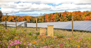 Pollinator-friendly solar project in Vermont