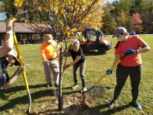 Tree Planting at Canoe Creek State Park Pennsylvania