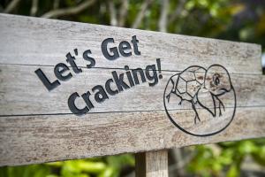Incubation center “Let’s Get Cracking” at Six Senses Con Dao