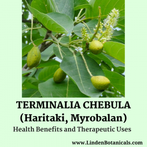 Linden Botanicals Terminalia chebula Extract