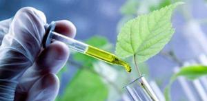 Bio-based Platform Chemicals Market